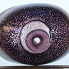 Kosta Boda Volcano-vaasi Bertil Vallien korkeus 21,0 cm sign - pikkukuva 3