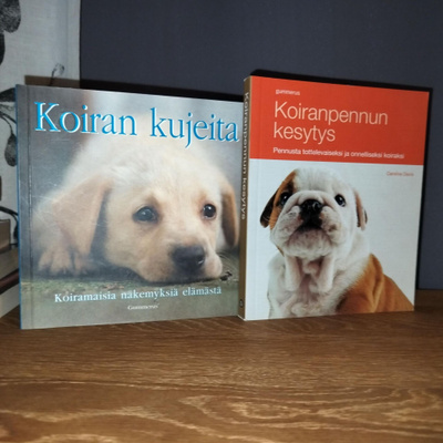 Koirapennun kesytys & Koiran kujeita - Uudet