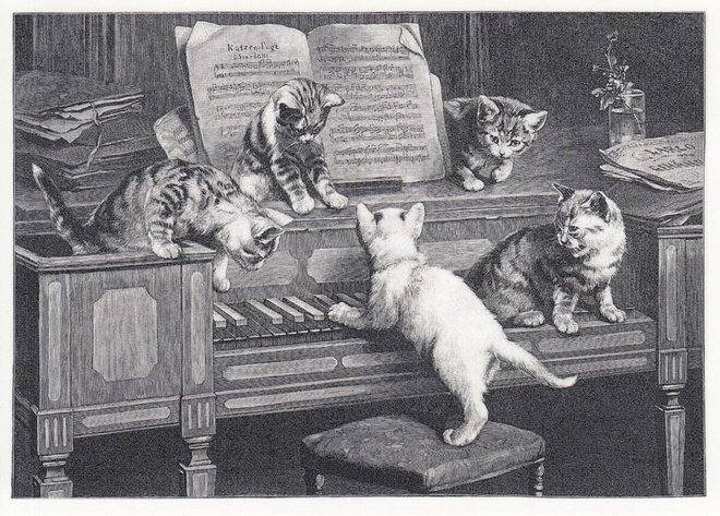 Carl Reichert: Kissanpennut (postikortti)