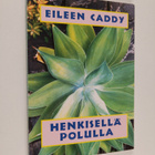 Eileen Caddy : Henkisellä polulla : käytännöllisiä ohjeit... - pikkukuva 1