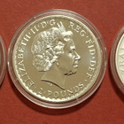 3 x 1 oz hopeaa: Britannia + Koala + Kiivi lintu. (KD8) - pikkukuva 2