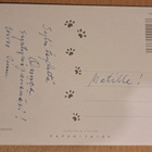 kissanpennut korissa, kulkenut käsipostissa 1980-luvulla - pikkukuva 2