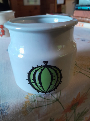 tutti frutti kaktus