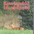 Metsästys & Eräelämä - Kaurispukki 16. elokuuta (DVD) - pikkukuva 1
