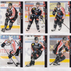 2012-13 Cardset Series 2 JYP Team Set 12 korttia (229-240) - pikkukuva 2
