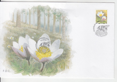FDC 2000 valkovuokko.