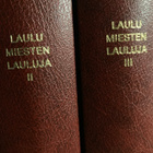 LAULUMIESTEN LAULUJA - pikkukuva 2