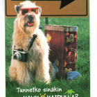 Kotka: Meripäivät 1993  (erikoisleima 29.7.1993) - pikkukuva 2