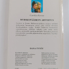 Carolyn Keene : Myrskypääskyn arvoitus - pikkukuva 2