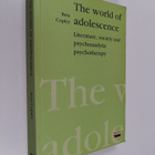 Beta Copley : The world of adolescence : literature, soci... - pikkukuva 1