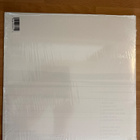 Foo Fighters - But here we are LP ORIG. 2023 - pikkukuva 2