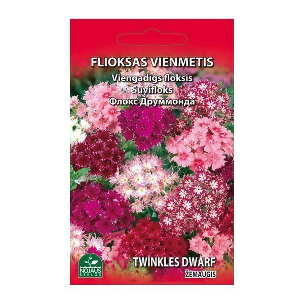 Kesäleimu "Twinkles Dwarf" sekoitus - siemenet #