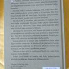 Risto Ryti - Elämä isänmaan puolesta - pikkukuva 2