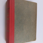 Alexandre Dumas : Miljoonamorsian - pikkukuva 1
