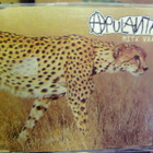 APULANTA - MITÄ VAAN cd-SINKKU - pikkukuva 1