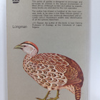John H. Elgood : Birds of the West African Town and Garden - pikkukuva 2