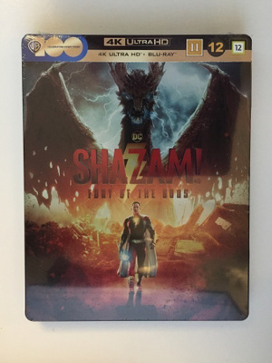 Shazam! Fury of the Gods - Limited Steelbook (4K Ultra HD)