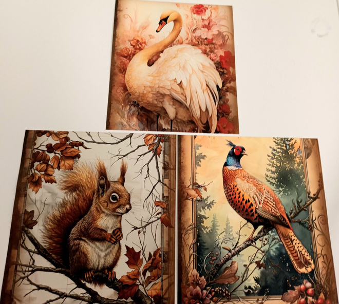 Kuviokartonki ELÄIMET / 3 kpl -setti / 13 x 15 cm