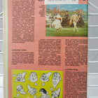 Aku Ankka 41 1987 - pikkukuva 2