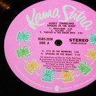 Andy Zwerling - Spiders in The Night LP 1971 - pikkukuva 5