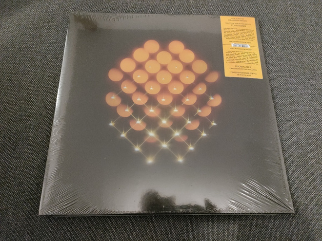Waste of Space Orchestra - Synthesios (2LP)