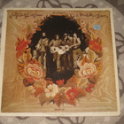2LP  Nitty Gritty Dirt Band – Stars And Stripes Forever - pikkukuva 1