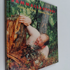 Ilkka Juhani Takalo-Eskola : Sammallautturi : kuvaelmia i... - pikkukuva 1