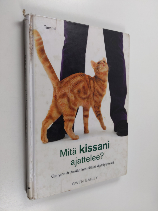 Gwen Bailey : Mitä kissani ajattelee?
