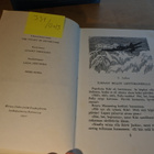 Enid Blyton: Seikkailujen laakso, sidottu - pikkukuva 4