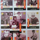 1994-95 Sisu Junior täysi erikoiskorttisarja - pikkukuva 1