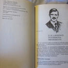 D. H. Lawrence / Lady Chatterleyn rakastaja - pikkukuva 3