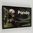 Heather Angel : Panda : rakastettu ja uhanalainen - pikkukuva 1