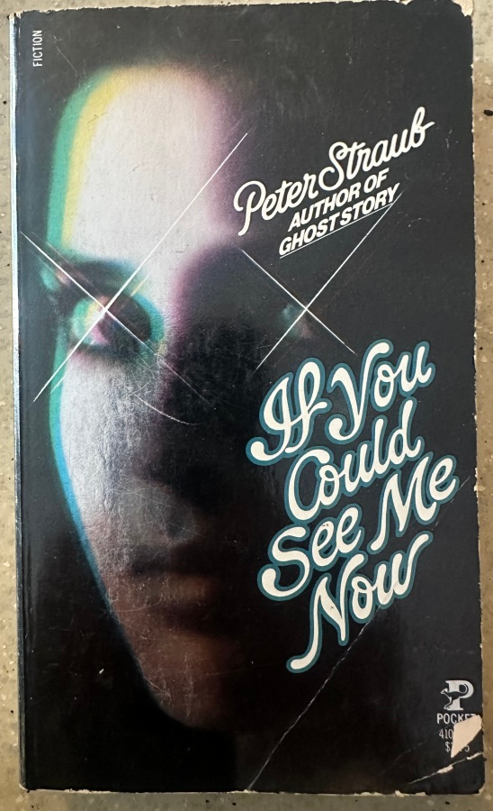 [Kirja] PETER STRAUB: IF YOU COULD SEE ME NOW