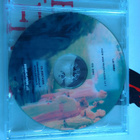 Leo Meller. Cd. Vuosi 2005 profetiassa. - pikkukuva 2