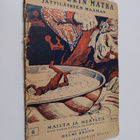 Jonathan Swift : Gulliverin matka jättiläisten maahan - pikkukuva 1