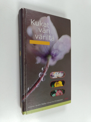Kirsten Bruhn Möller : Kukat väri väriltä