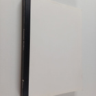 Francesca Alfano Miglietti : Extreme bodies : the use and... - pikkukuva 1