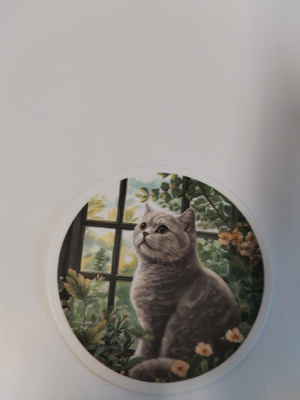 Kissa tarra.