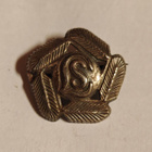 Hopea pinssi - pikkukuva 1