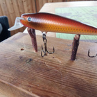 Taika  vaappu  7,5cm Jalokalalle - pikkukuva 2