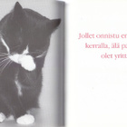 Kissan viikset! - kissamaisia näkemyksiä elämästä (2006) - pikkukuva 5
