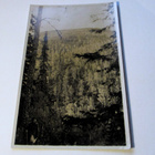 Kemijärvi Pyhätunturi - 1935 Pelkosenniemi leimaus - pikkukuva 1
