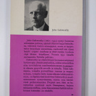 John Galsworthy : Omenapuu - pikkukuva 2