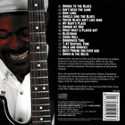 Alvin Jett And The Phat noiZ Blues Band – How Long - pikkukuva 2