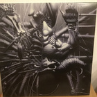 DANZIG: Danzig 5: Blackacidevil Lp levy - pikkukuva 2