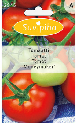 Tomaatti siemenet MONEYMAKER #