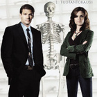 BONES - 1. Kausi - DVD BOXI  (Uusi, Muoveissa) - pikkukuva 1