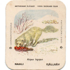 Kahvilappu NAALI. Isompi kuvakoko - pikkukuva 1