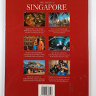 Chew Yen Fook : The magic of Singapore - pikkukuva 2