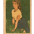 Purkkakuva PA n:o 72 BRIGITTE BARDOT - pikkukuva 1